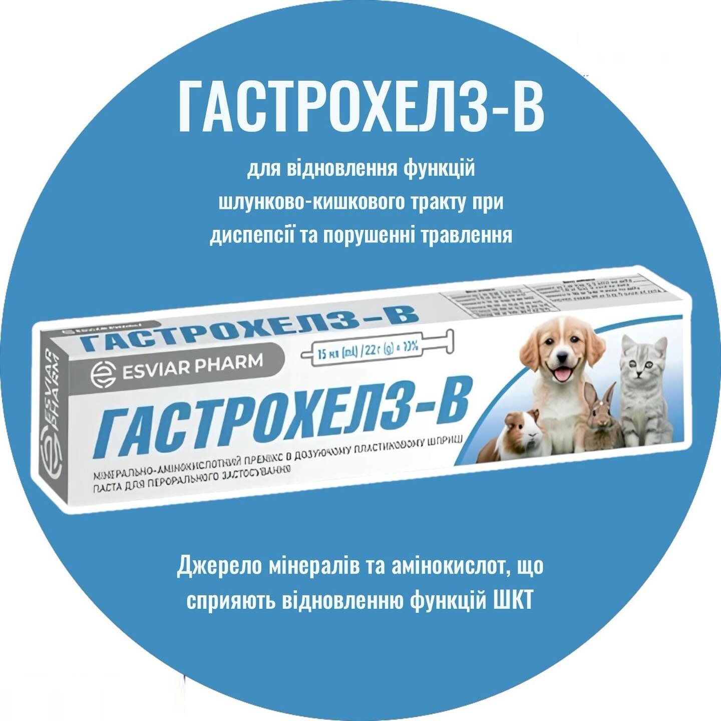 Гастрохелз-В паста